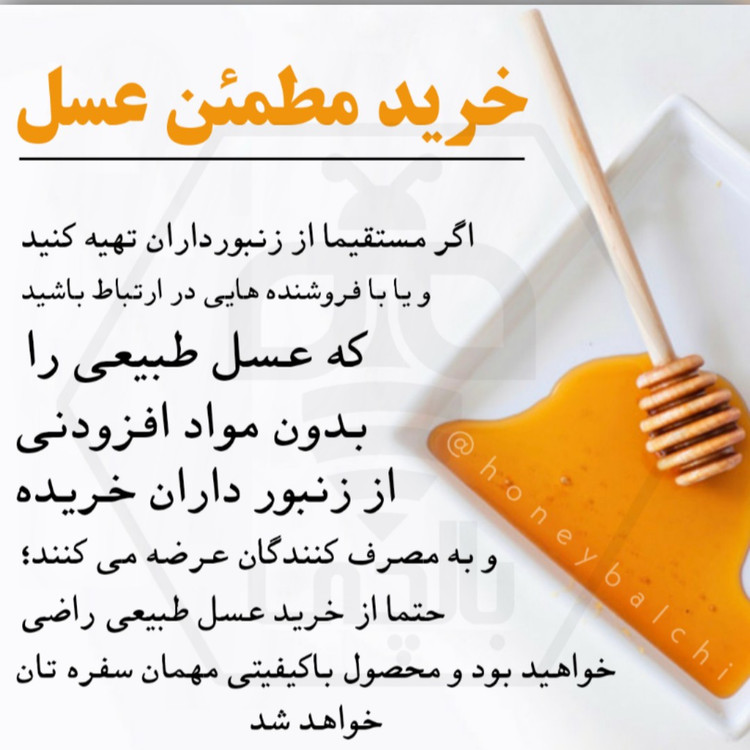 عسل طبیعی جنگلی بالچی (2 کیلوگرم)(بدون موم)(ارسال رایگان و فوری)(خرید مستقیم از زنبوردار نمونه)