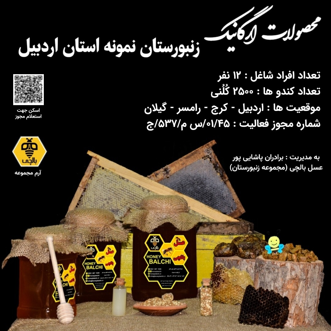 عسل طبیعی بهارنارنج (3 کیلوگرم) (خرید از زنبوردار نمونه)
