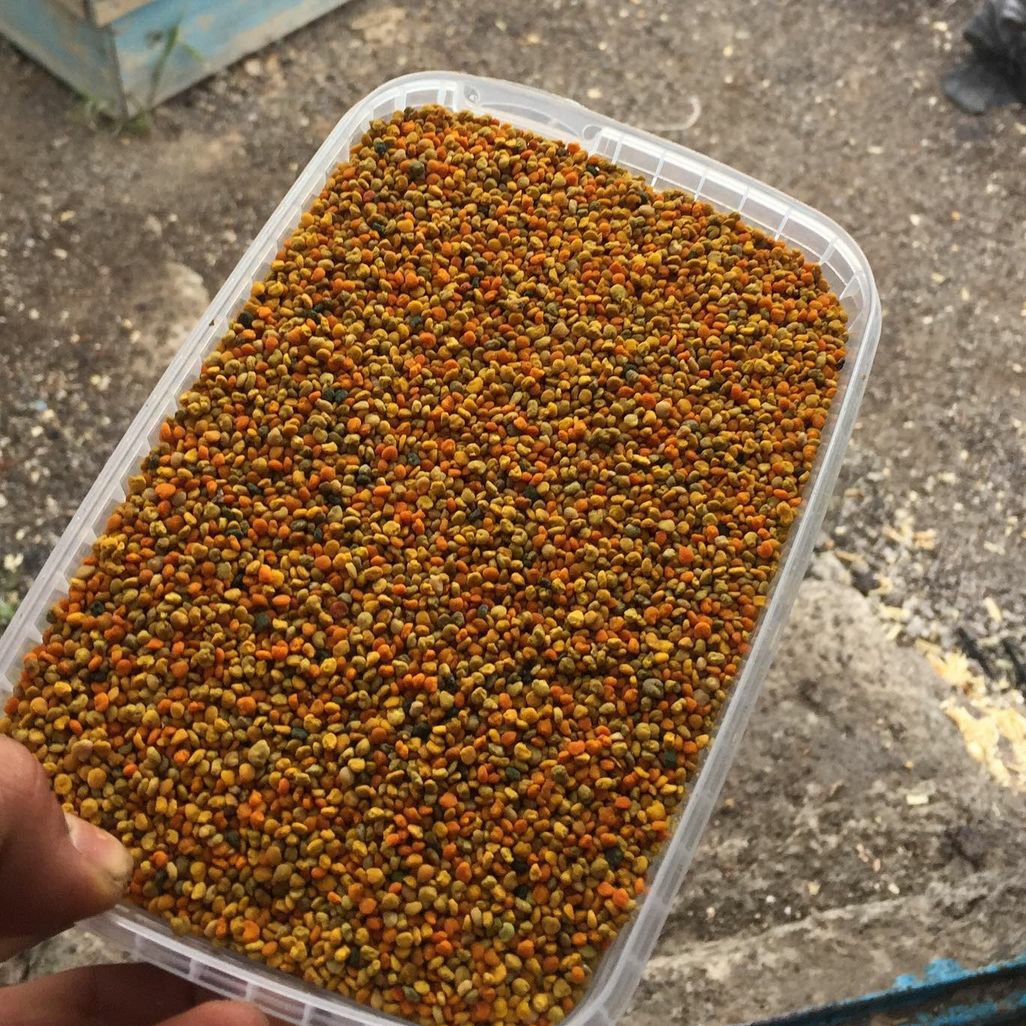 گرده گل کوهستان ارگانیک درجه یک(1 کیلویی )ارسال رایگان