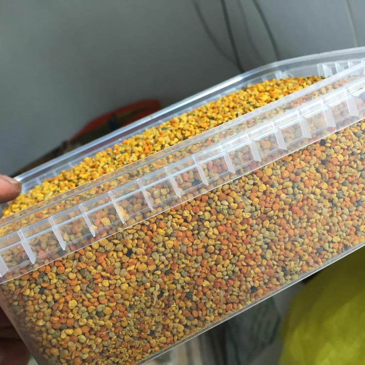 گرده گل کوهستان ارگانیک درجه یک(1 کیلویی )ارسال رایگان