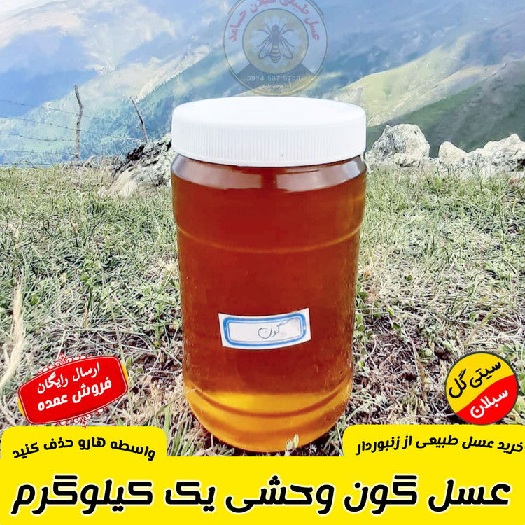عسل گون در حد وحشی کردستان 1 کیلویی(مستقیم از زنبوردار)ارسال رایگان