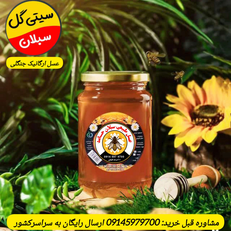 عسل زیرفون جنگلی خام طبیعی 1کیلویی سبلان(مستقیم اززنبوردار)