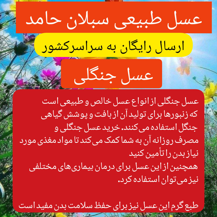 عسل زیرفون جنگلی خام طبیعی 1کیلویی سبلان(مستقیم اززنبوردار)