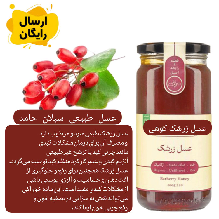 عسل زرشک کوهی خام ارگانیک ساکارززیر3درصد1کیلویی(مستقیم از زنبوردار)ارسال رایگان