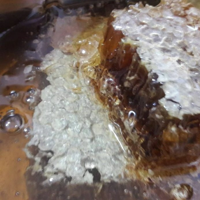 عسل چندگیاه طبیعی و بهاره ترکیبی 1 کیلویی سبلان(مستقیم از زنبوردار)ارسال رایگان