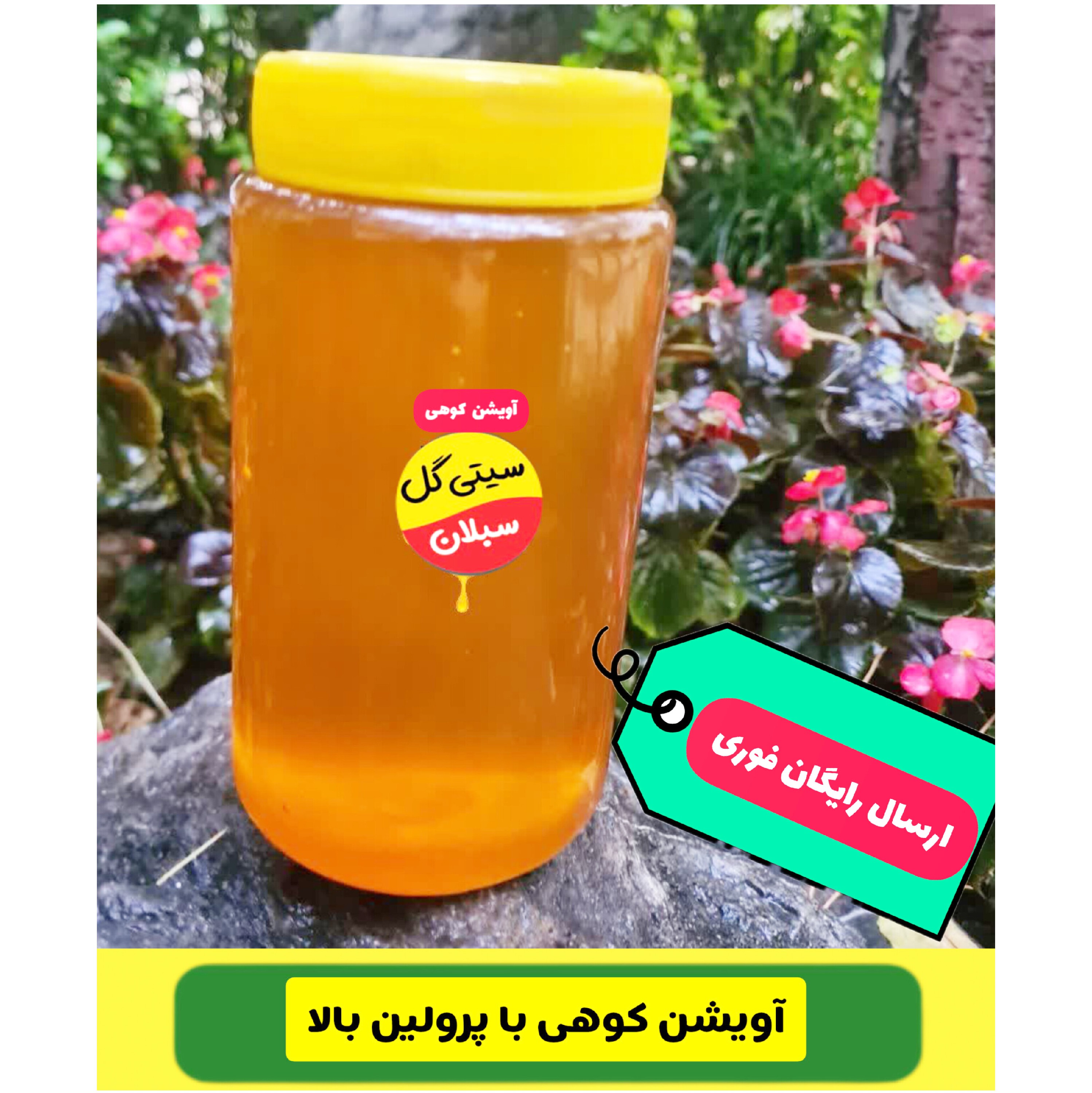 عسل آویشن کردستان درمانی دیابتی(مستقیم از زنبوردار)ارسال رایگان