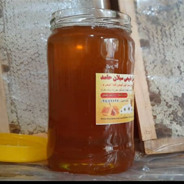 عسل کوهی خام ارگانیک خالص 1 کیلویی سبلان(مستقیم از زنبوردار)ارسال رایگان