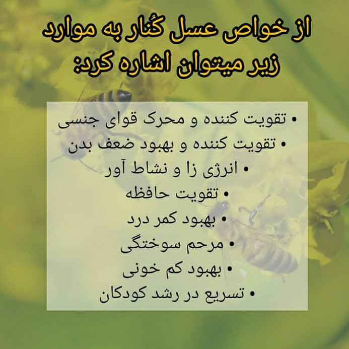عسل کنار ایرانی ممتاز خام بوشهر1کیلویی(خریداززنبوردار)ارسال رایگان